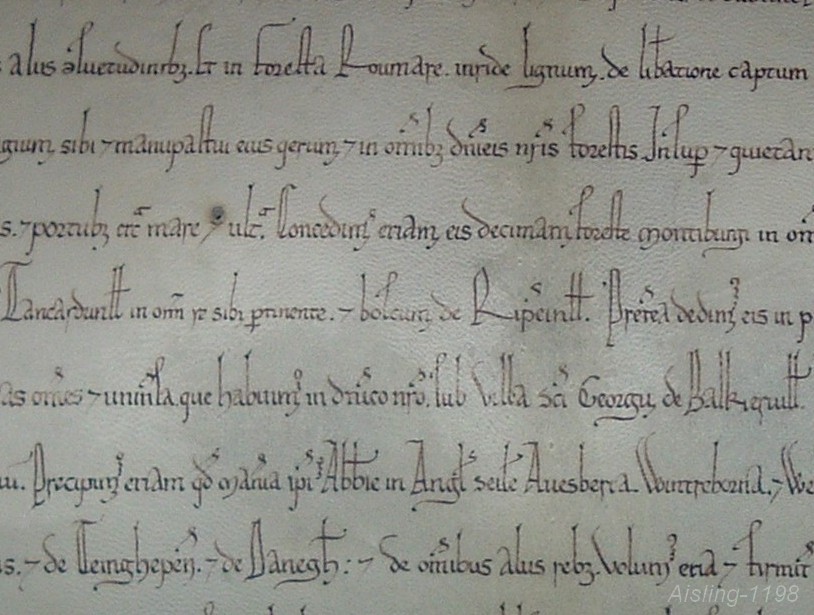Reconstitution Aisling-1198 d'une charte de St Georges de Boscherville